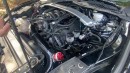 2020 Ford Mustang GT500 Hulk vs 1,000 hp Hulkbuster GT350R
