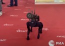M-81 is said to be Russia's newest weapon, a robodog with an RPG launcher strapped to its back
