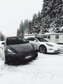 Teslas in snow
