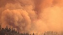 Climate change is the excuse for all wildfires, but what if it is not their main cause?