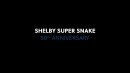 2017 Shelby Super Snake