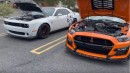 Ford Mustang Shelby GT500, Dodge Challenger SRT Hellcat Redeye Widebody