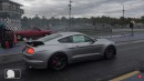 Ford Mustang Shelby GT500 drags on ImportRace
