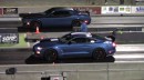 Shelby GT500 takes on Dodge Challenger T/A 392 in a quarter mile drag race