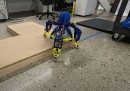 Skootr robot