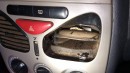 Snake hides inside air vents in Fiat in Brazil and bites a woman