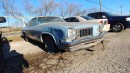 1975 Oldsmobile Cutlass junkyard find