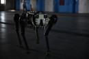 Vision 60 Robot Dogs at Cape Canaveral