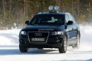 2013 Audi Q5 Facelift Spyshots