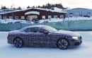 Spyshots: 2019 BMW 8 Series Convertible