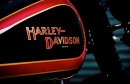 2015 Harley-Davidson Deluxe by Melk