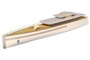 Steve Jobs' Venus Superyacht 3D Model