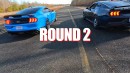 Ford Mustang Mach 1vs Dark Horse vs GT