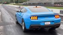 2024 Ford Mustang Dark Horse races drag-prepped 2024 Ford Mustang GT
