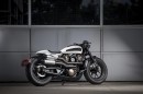2021 Harley-Davidson custom