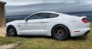 2019 Ford Mustang GT takes on an S197 Shelby GT500