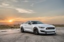 Ford Mustang Shelby GT350R by Hennessey