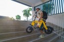 Mihogo Mini electric bike
