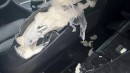 Tesla Model 3 Performance driver's seat eaten by dog