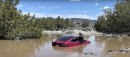 Tesla Model 3 drove straight into a pond