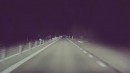 Tesla Model 3 faces moose on road in Sweden