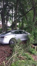 Tesla Model S Accident: Son Crashes Father’s Car