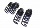 DUAL RATE LINEAR LOWERING SPRING SET FOR TESLA MODEL Y from Unplugged Performance