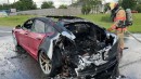 Tesla Model S Plaid catches fire due to rear motor, Hansjoerg von Gemmingen says they are not good