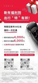 Tesla's Discount Promo Offer in China