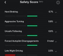 Tesla Safety Score Example