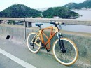The Astan Bike has a lattice frame made of wood, which makes it lightweight, durable, comfortable and very green