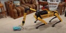 Spot the robot dog from Boston Dynamics