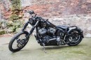 Harley-Davidson Contrast