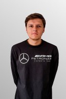 Mercedes-AMG Petronas eSports team