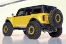 Ford Bronco ProRunner by APG