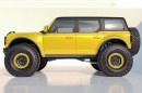 Ford Bronco ProRunner by APG