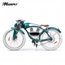 Munrojoy Retro Classic Electric Bicycle