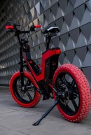 The Buzzy Bike is customizable to large extent, so that each rider gets their dream machine