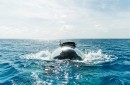 The Triton 3300/6 submarine is perfect for family dives at sea, the largest yet