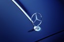 Mercedes-Maybach Haute Voiture