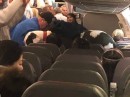 A giant dog used as ESA occupies 3 seats on a plane
