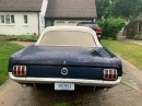 Alleged Mustang barn find