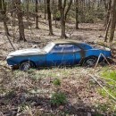 1968 Chevrolet Camaro Z/28 gets rescued