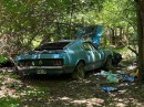 1970 Ford Mustang Boss 302 saved from the woods