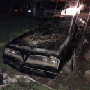 1977 Pontiac Firebird Trans Am "Bandit" Rescued from the Mud
