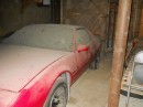 1986 Pontiac Firebird barn find