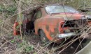 classic car hoard abandoned in the woods