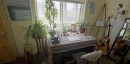 Tiny home with three bedrooms is a little plant-filled slice of heaven