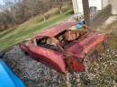 1965 Mustang "project car"