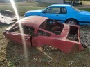 1965 Mustang "project car"